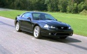 2001 Ford Mustang Cobra SVT 2dr Coupe 