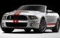 2011 Ford Shelby GT500 Convertible