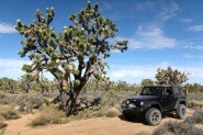 2012 Jeep Wrangler