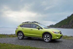 Car trade in options