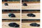 Electronic Stability Control Test