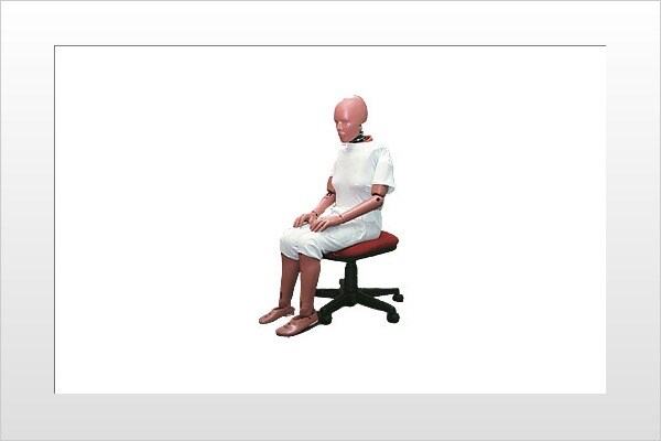 Female Sized Crash Test Dummy