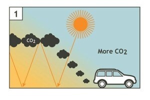 Are Automobiles a Major Cause of Global Warming?
                        