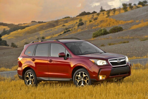 2014 Subaru Forester Picture