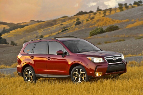 2014 Subaru Forester Picture
