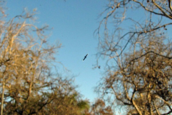 2012 Volkswagen Beetle Turbo