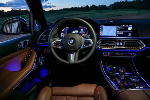 2019 BMW X5 xDrive40i 4dr SUV Steering Wheel Detail