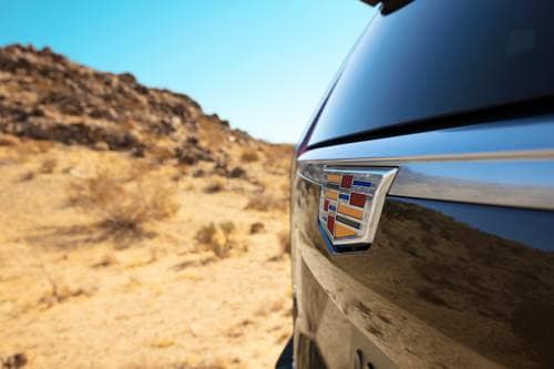 Cadillac Escalade ESV Premium Luxury Platinum 4dr SUV Rear Badge