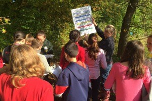 Ingersoll Auto Of Danbury Serves As Green Mentor For Students