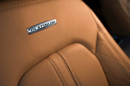 Ford Expedition Platinum 4dr SUV Interior Detail