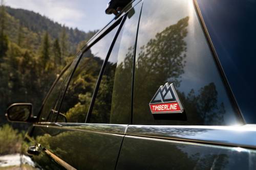 Ford Expedition Timberline 4dr SUV Exterior Detail