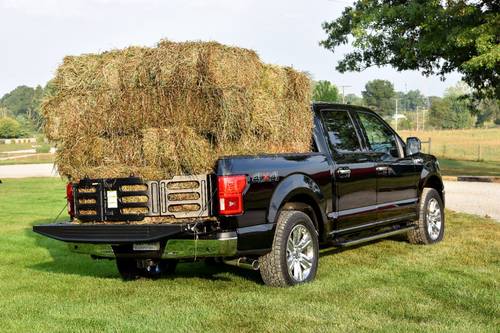 2018 Ford F-150 Platinum Crew Cab Pickup Lifestyle Exterior