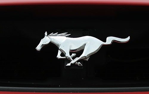 2004 Ford Mustang Mach 1 Front Badge