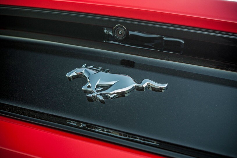 2016 Ford Mustang Pictures 628 Photos Edmunds