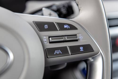 Hyundai Palisade Calligraphy 4dr SUV Aux Controls