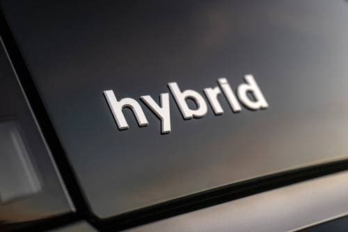 2026 Hyundai Palisade Hybrid Calligraphy 4dr SUV Rear Badge
