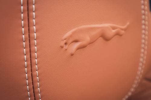 Jaguar F-TYPE P450 R-Dynamic Convertible Interior Detail