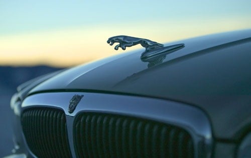 2004 Jaguar X-Type Front Badging