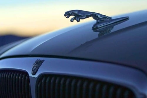 2007 Jaguar X-Type 3.0L Sedan Hood Ornament and Badge