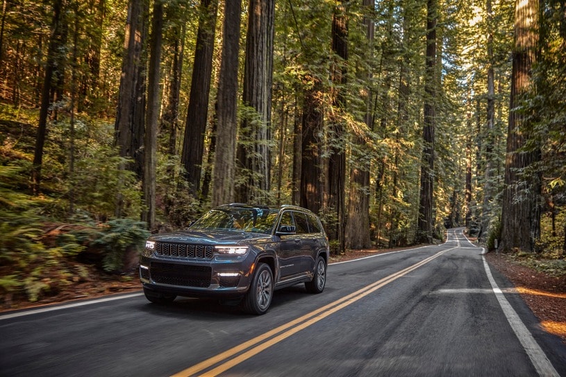 2021 Jeep Grand Cherokee L 2021 Jeep Grand Cherokee L