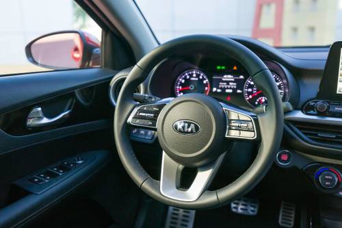 2019 Kia Forte EX Sedan Steering Wheel Detail
