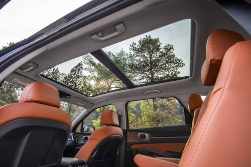 Kia Sorento X-Line SX Prestige 4dr SUV Interior Detail