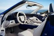 2021 Lexus LC 500 Convertible Steering Wheel Detail