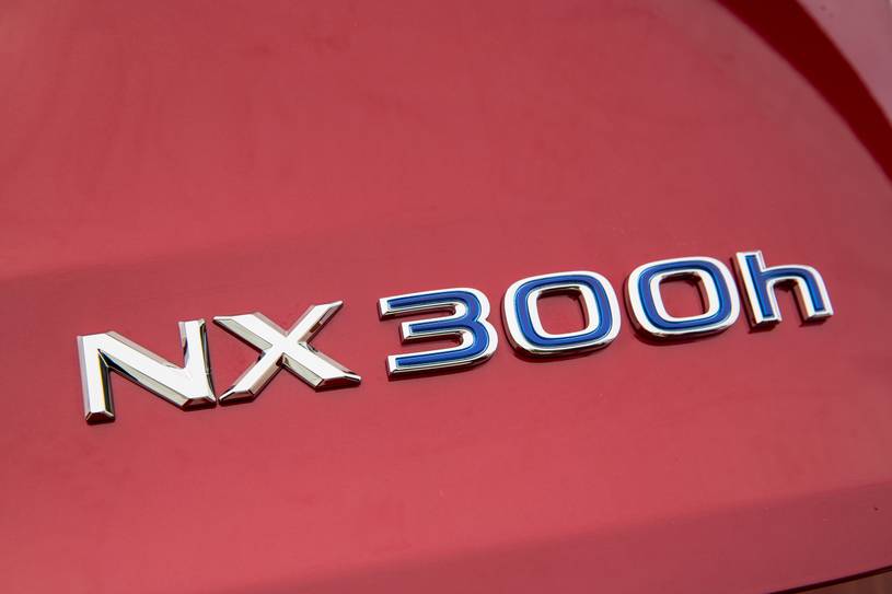 2021 Lexus NX 300h 4dr SUV Rear Badge