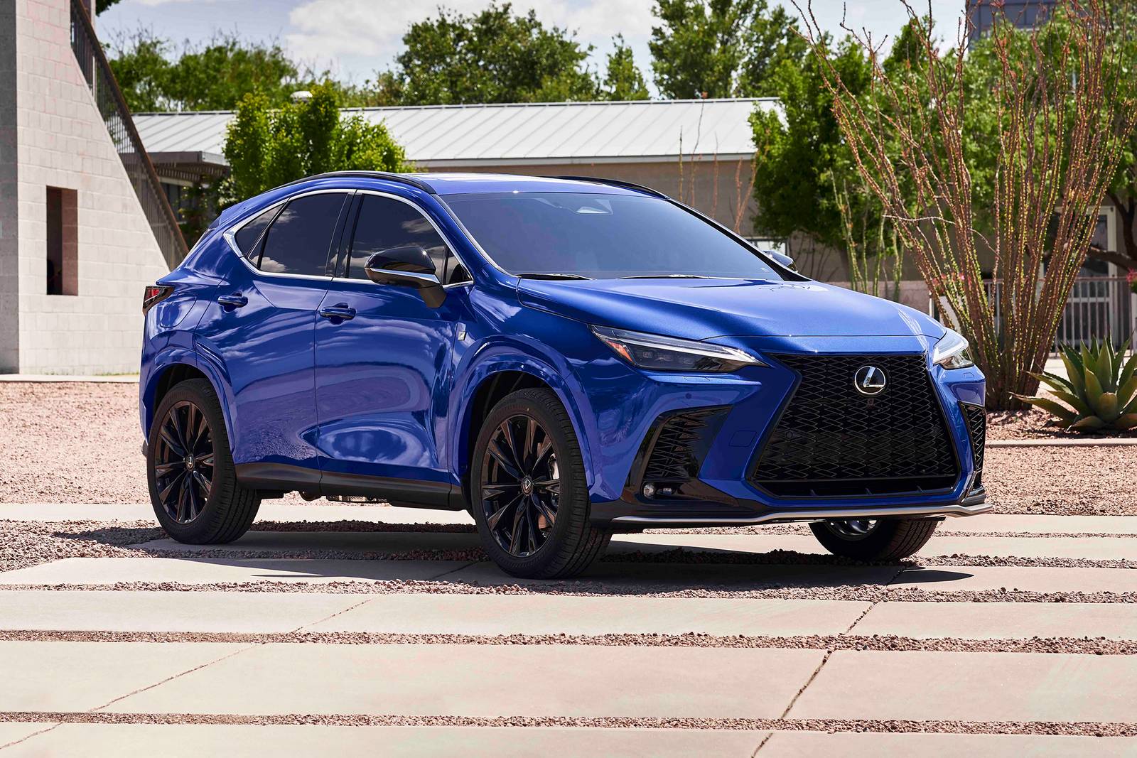 2025 Lexus NX Plug in Hybrid Prices Reviews and Pictures Edmunds
