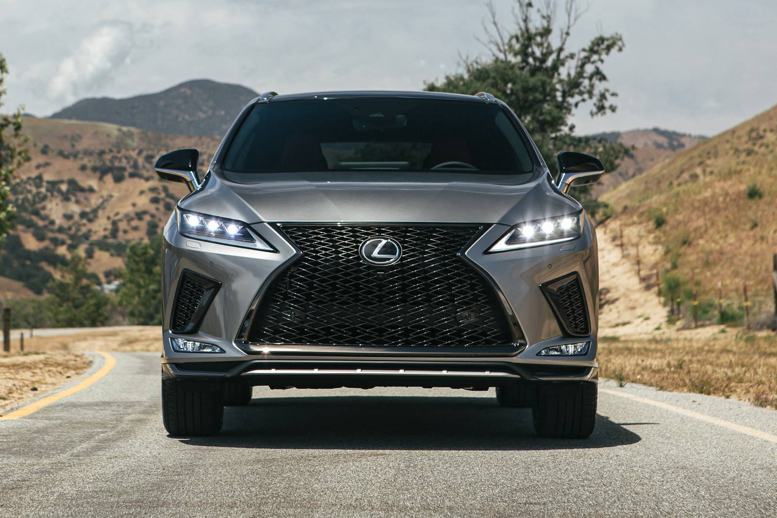 Lexus RX SUV 2020