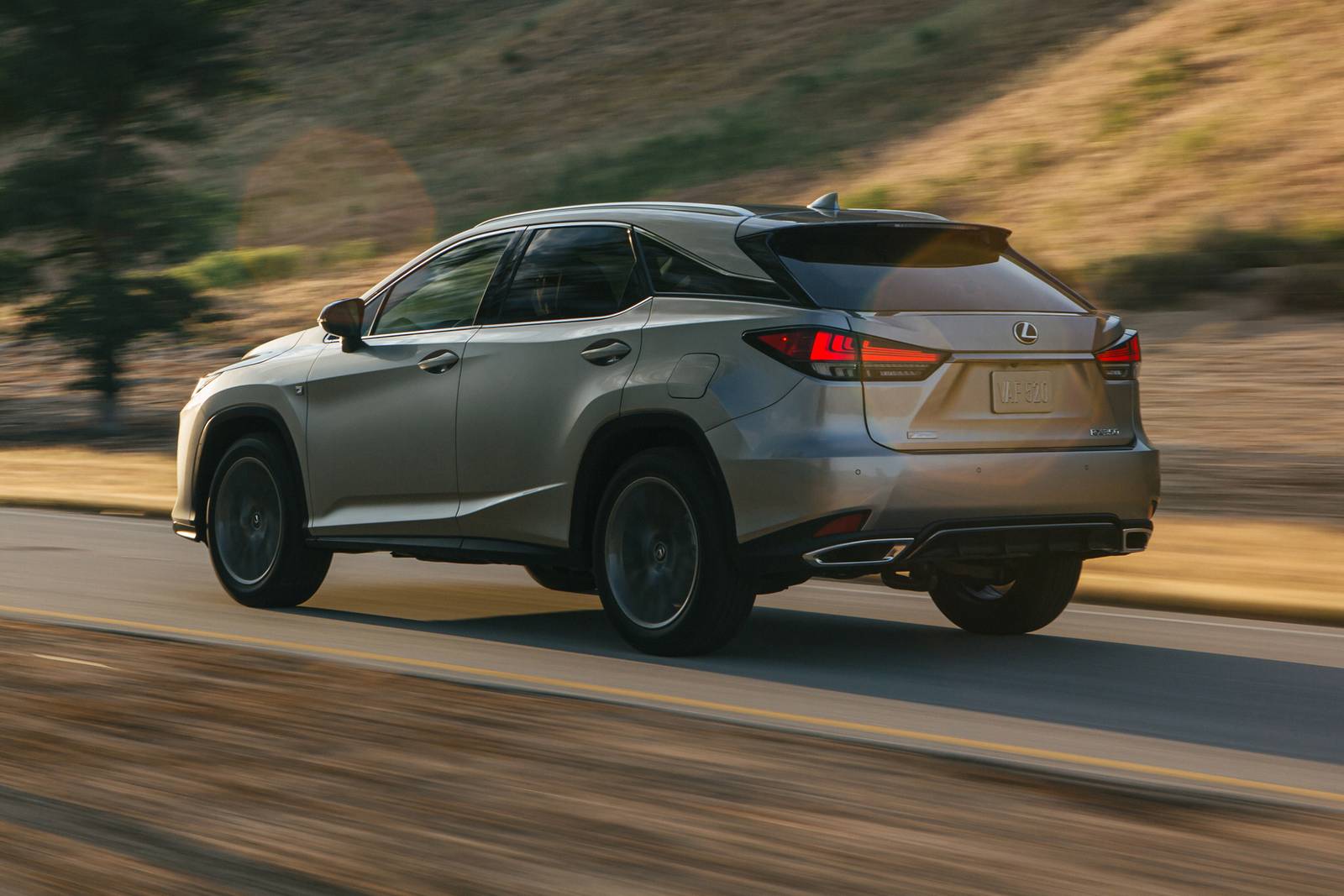 Lexus RX SUV 2020