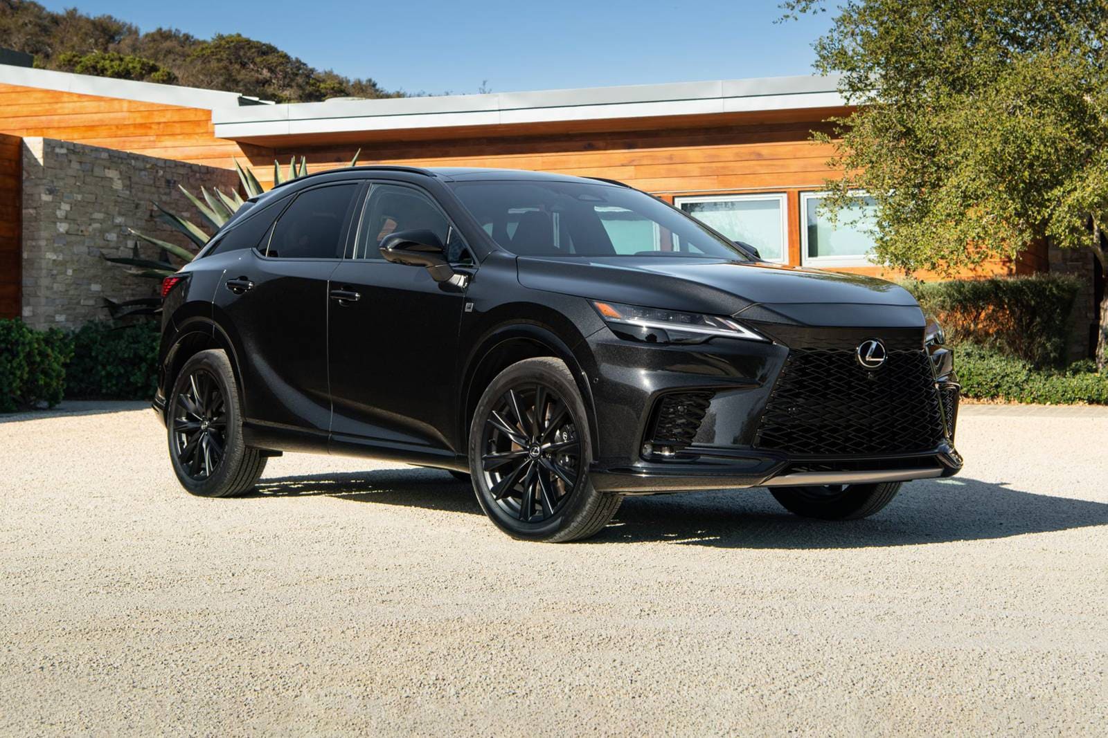 2023 Lexus RX 500h Review & Ratings | Edmunds