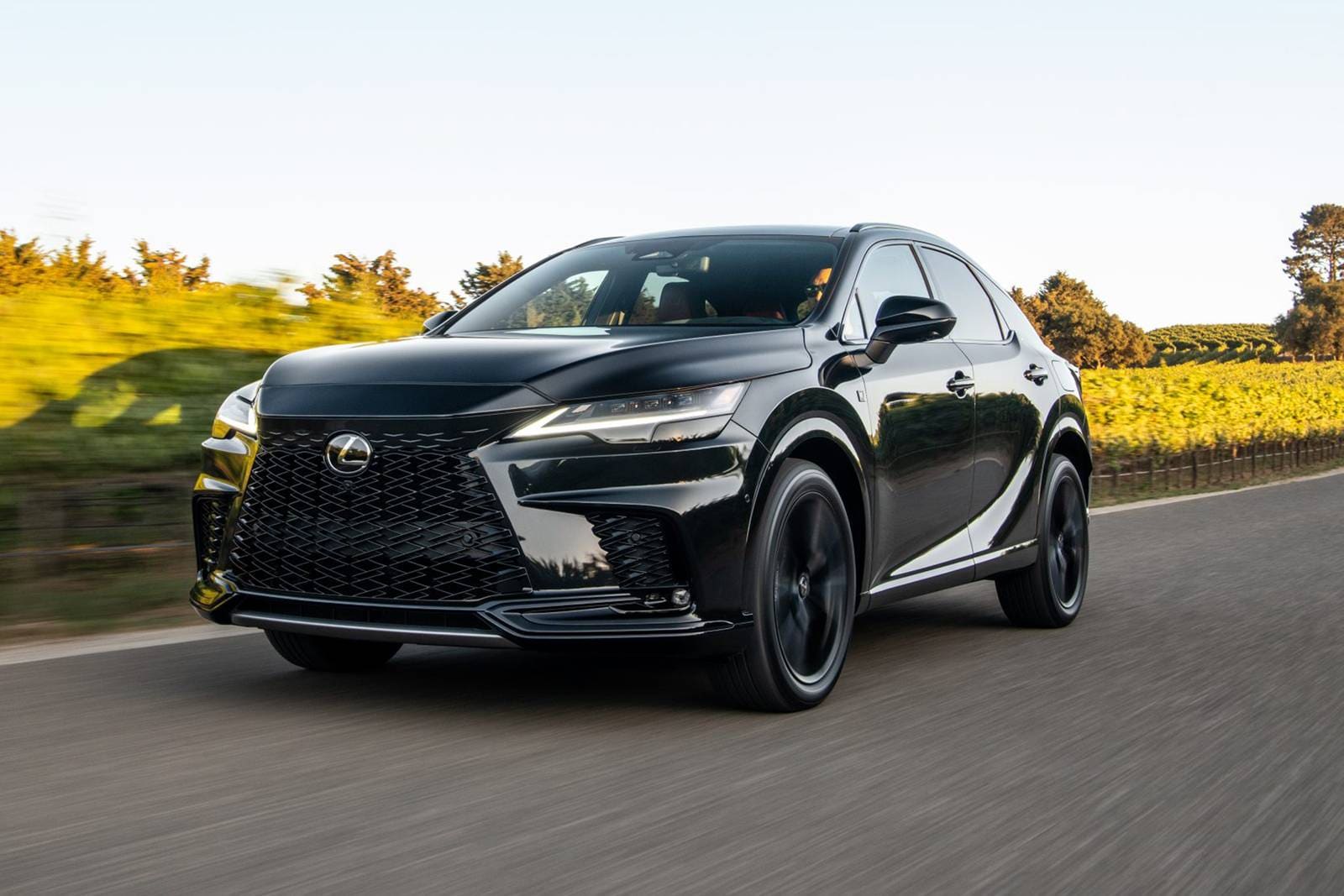 2023 Lexus RX 500h Review & Ratings | Edmunds