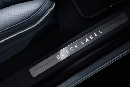 Lincoln Navigator Black Label 4dr SUV Interior Detail