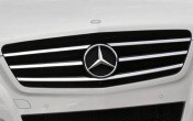 2011 Mercedes-Benz R-Class R350 4MATIC Front Grille and Badging
