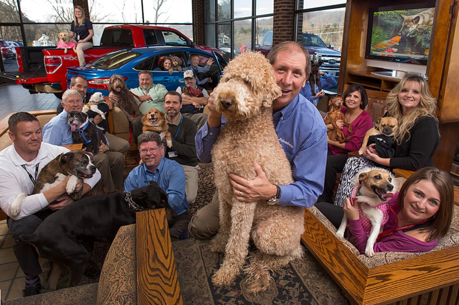 4 PetFriendly Car Dealerships More Fur, More Fun Edmunds