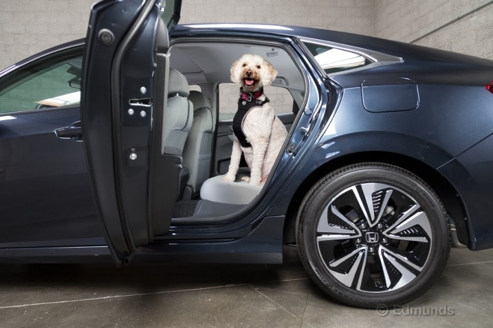 A low back seat, as found in the 2017 Honda Civic, makes it easier for dogs to clamber in.