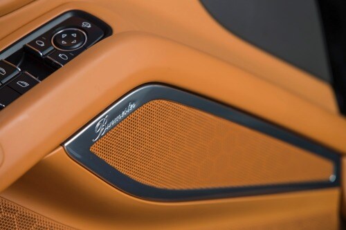 2014 Porsche Cayman Door Trim  Detail