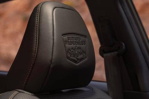 2026 Subaru Crosstrek Wilderness 4dr SUV Interior Detail
