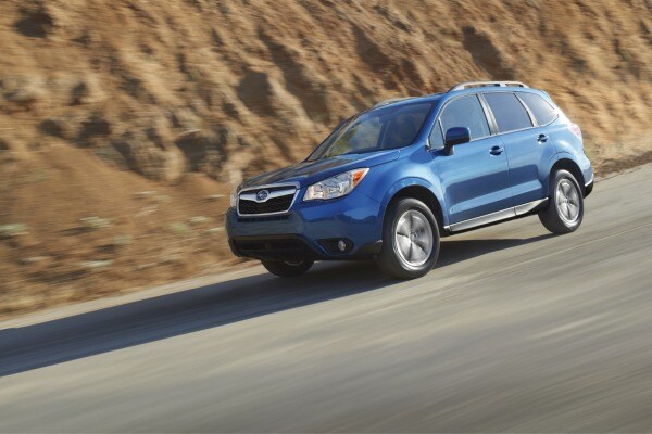 2016 Subaru Forester Legacy Co Star With Canines In New