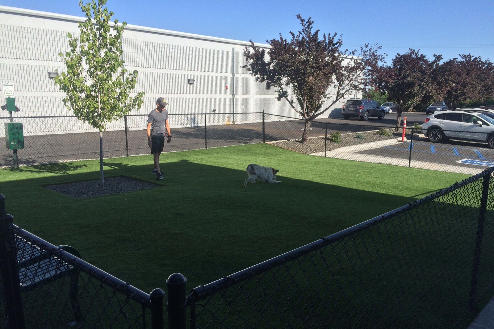 Used Cars Pocatello >> Phil Meador Subaru Opens Dog Park Near Showroom | Edmunds Used Cars Pocatello >> Phil Meador Subaru Opens Dog Park Near Showroom | Edmunds
