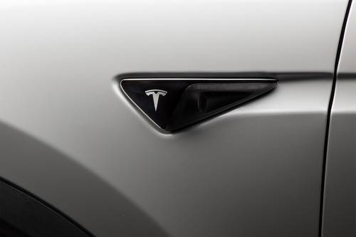 Tesla Model X Performance 4dr SUV Exterior Detail