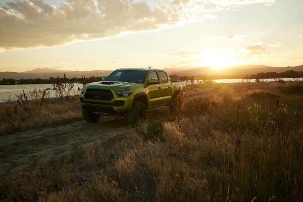 Driving the 2022 Toyota Tacoma TRD Pro and Trail Edition