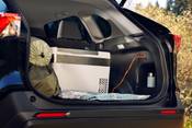 2025 Toyota RAV4 Hybrid Woodland Edition 4dr SUV Lifestyle Interior