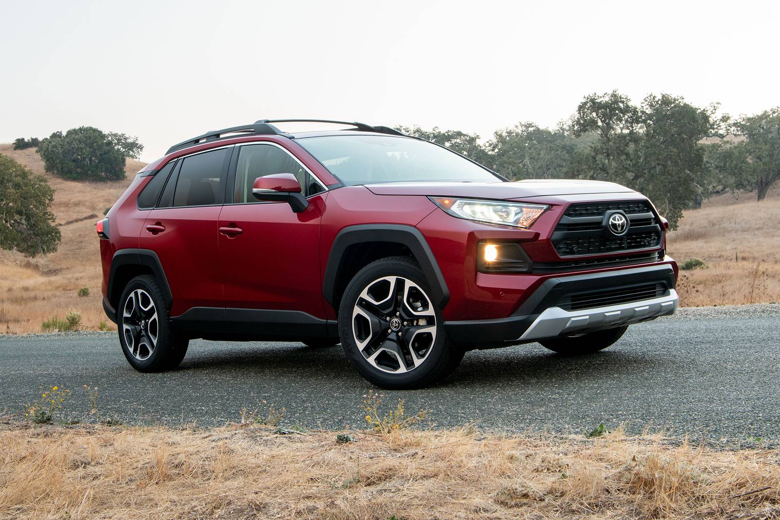 How Much Does A 2019 Toyota Rav4 Weight: Essential Facts Revealed