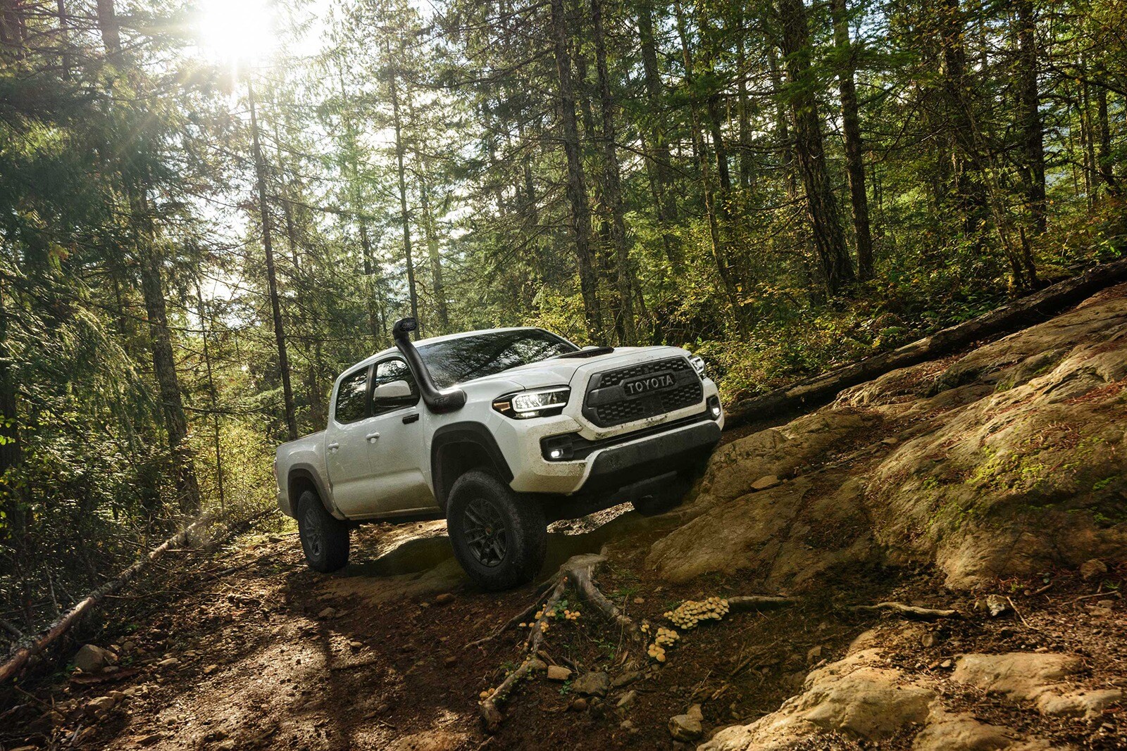 what off road vehicle should i buy